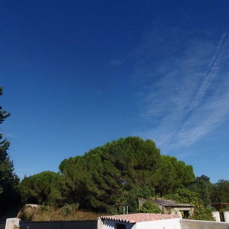 Joli Mazet Entre Montpellier Et Nimes Apartment เอมาร์กส์ ภายนอก รูปภาพ