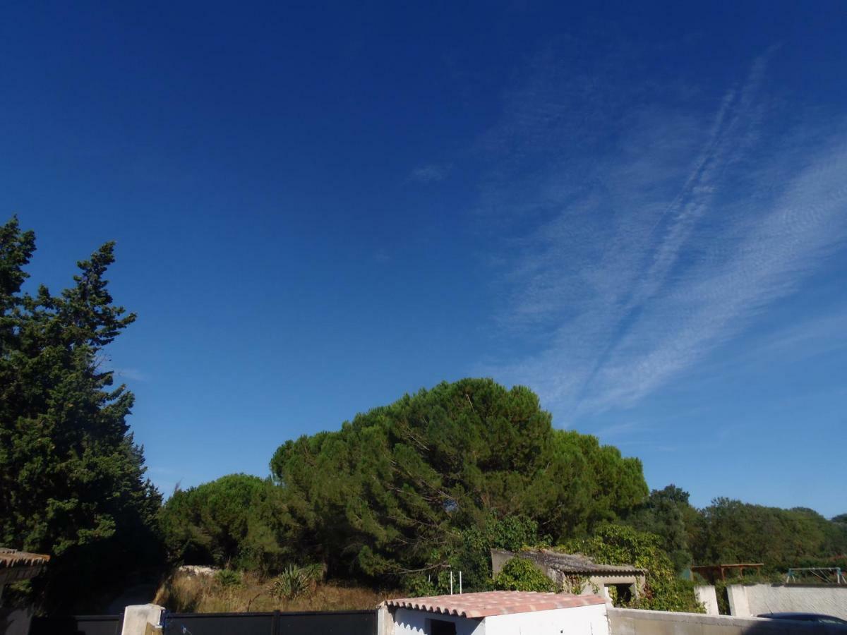 Joli Mazet Entre Montpellier Et Nimes Apartment เอมาร์กส์ ภายนอก รูปภาพ